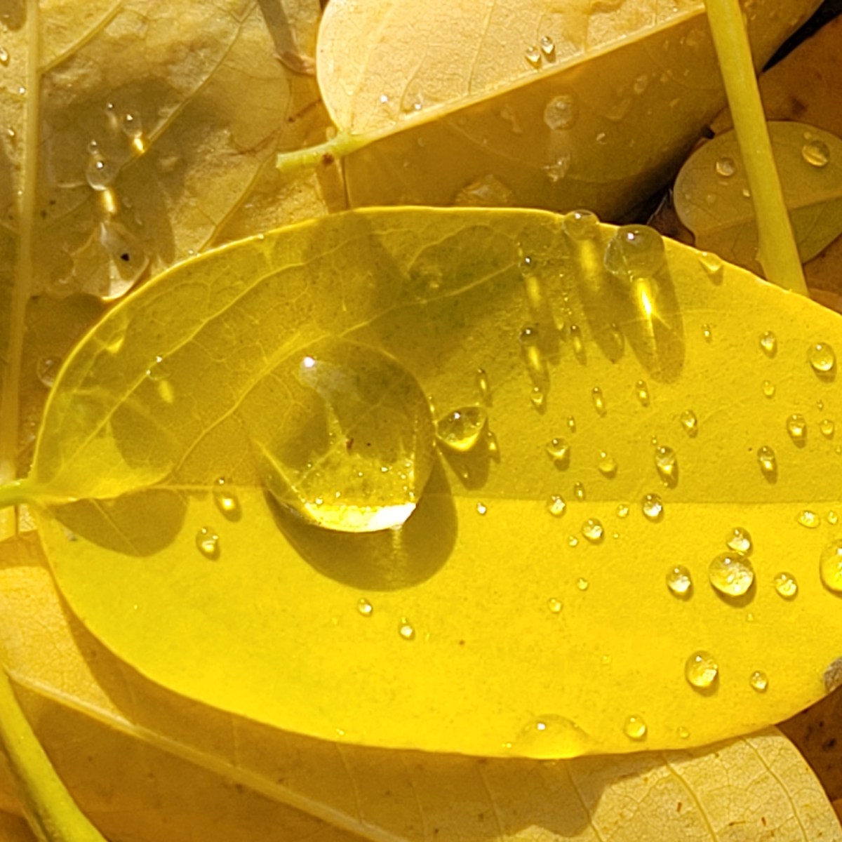 Mindful photography: retreats in the everyday