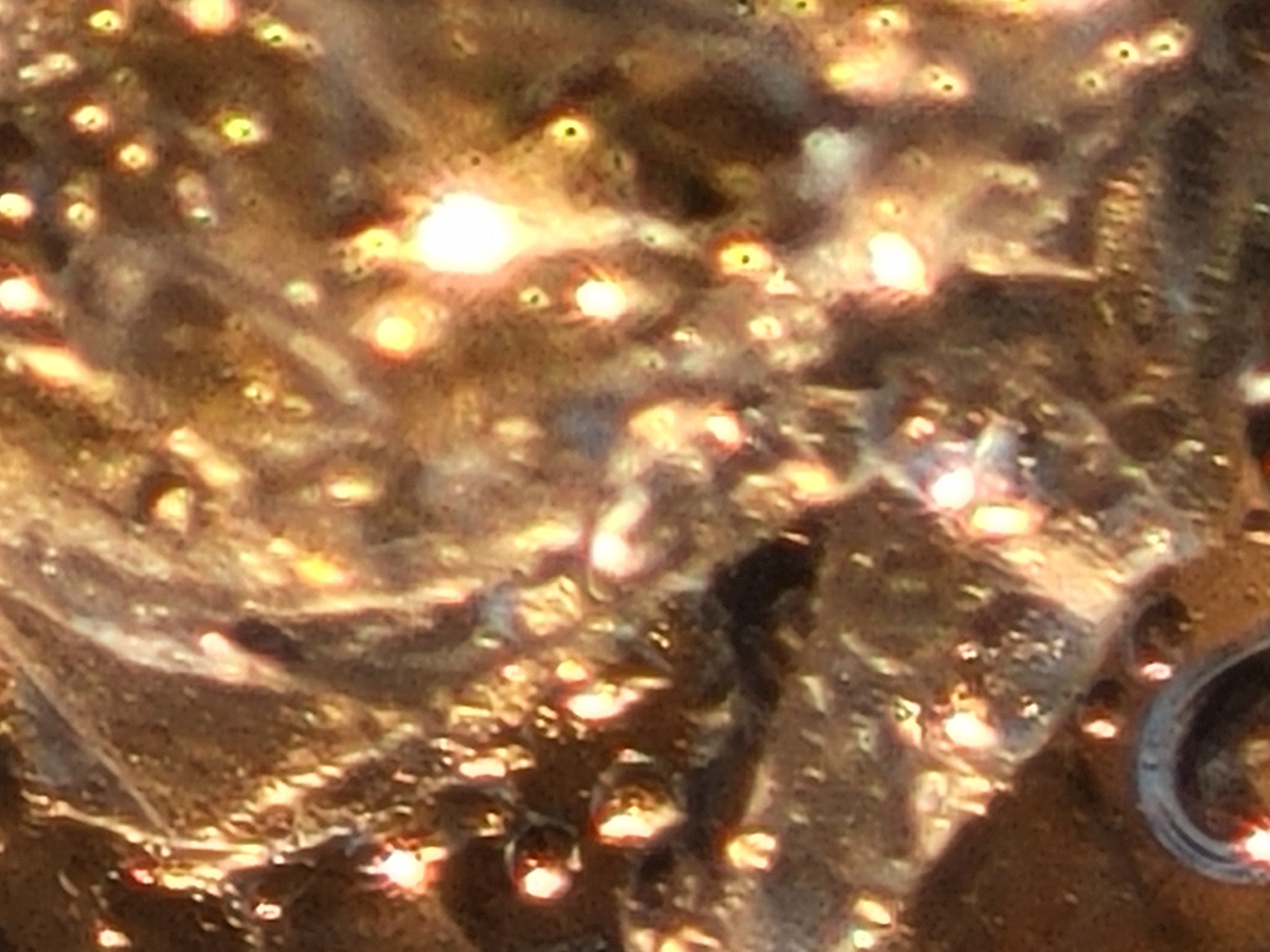 a wet wrapper caught by golden sunlight looks jewel-like