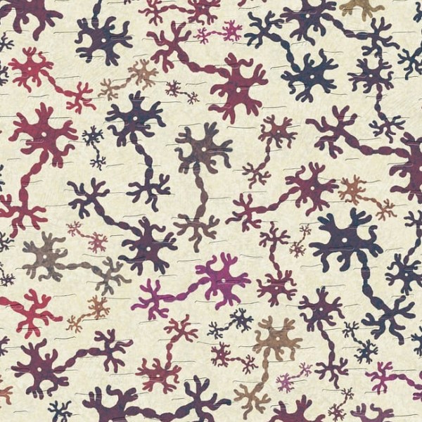 No, Autism and ADHD aren’t being overdiagnosed